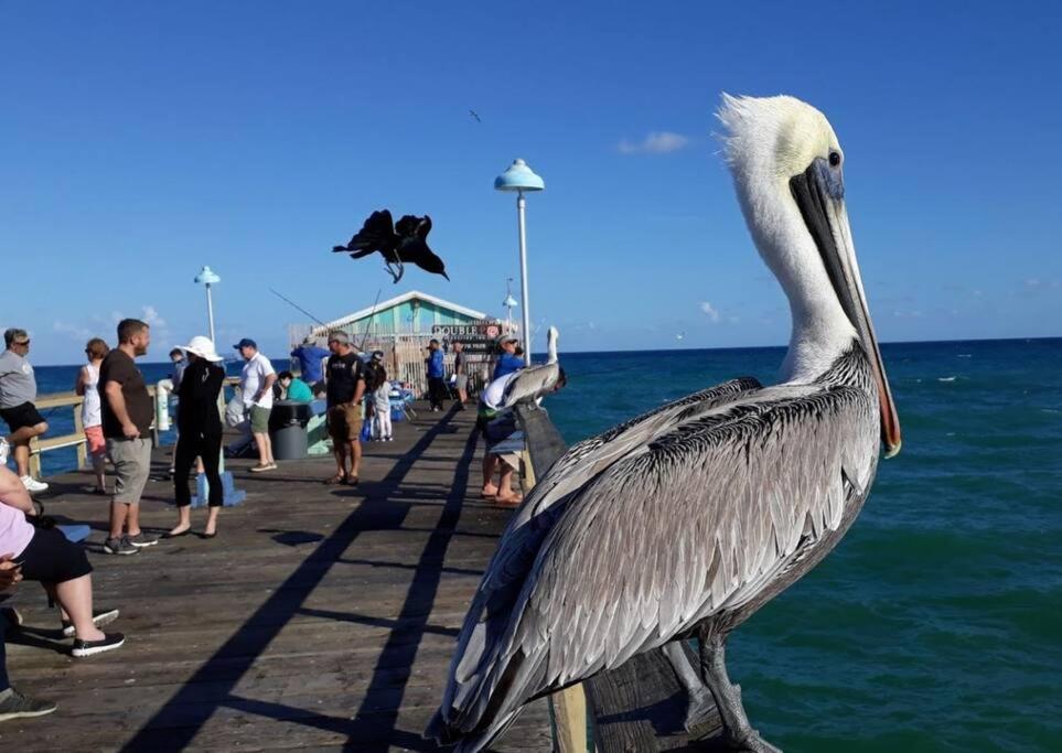 Fort Lauderdale Guest House ภายนอก รูปภาพ